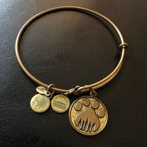 Alex and Ani Northeastern University Bracelet